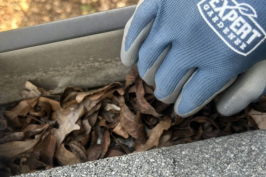 Gutter Cleaning Upper Darby