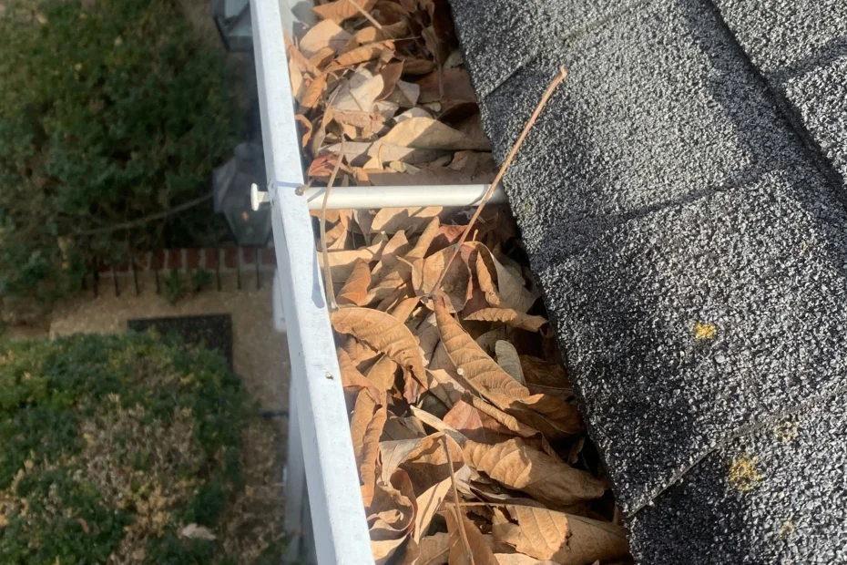 Gutter Cleaning Upper Darby